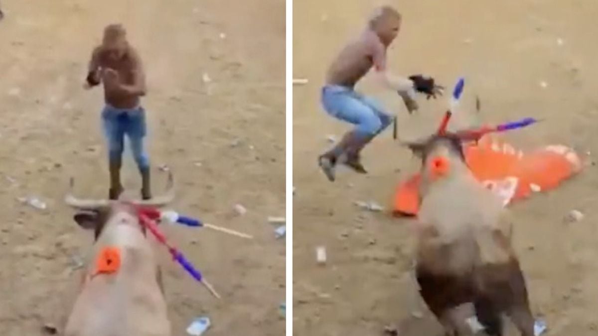 Un homme meurt encorné après avoir provoqué un taureau lors d'un festival controversé
