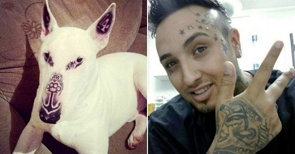Il fait scandale en postant sur Internet des photos de son chien qu'il vient de tatouer