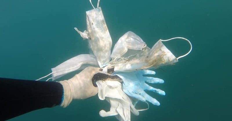 Une association a repêché des masques et des gants usagés au large de la Côte-d'Azur, craignant une nouvelle pollution