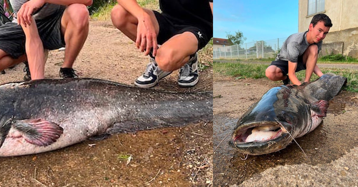 À 17 ans, ils pêchent un véritable monstre marin dans la Saône et sa taille est impressionnante !