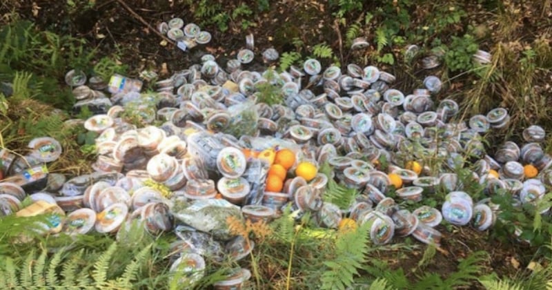 Des kilos d'invendus de Leclerc et Carrefour retrouvés dans une forêt du Nord 