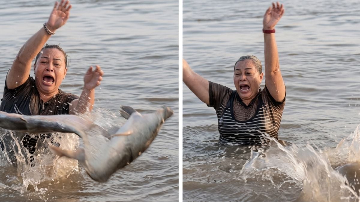 Elle croit saisir un morceau de bois et se retrouve face à un... alligator ! 