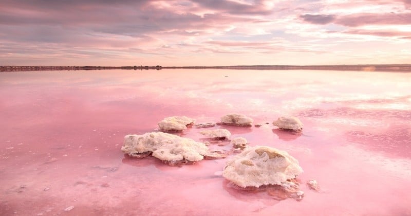 Découvrez l'incroyable lagune rose de Torrevieja, un phénomène unique en Espagne ! 