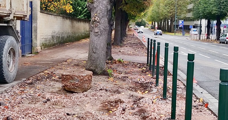 Caen : la mairie débitume les pieds des arbres pour les laisser respirer et créer d'immenses espaces verts