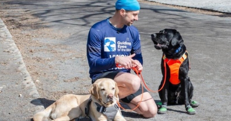 Aveugle, il devient le premier à boucler le semi-marathon de New-York avec l'aide de ses chiens