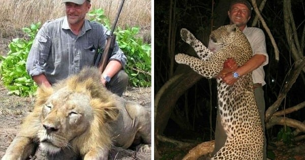 Un chasseur qui posait fièrement aux côtés de lions morts décède à son tour après une chute dans un ravin... alors qu'il chassait