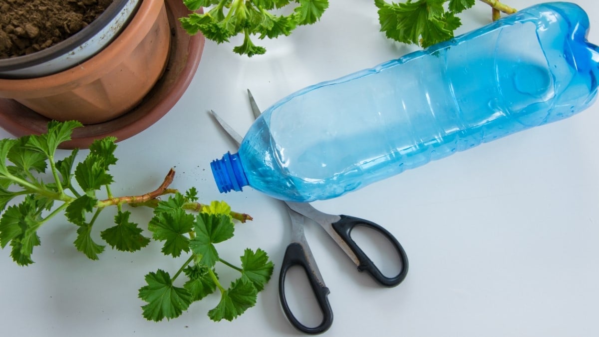 Voici pourquoi il faut planter une bouteille dans le sol de votre jardin