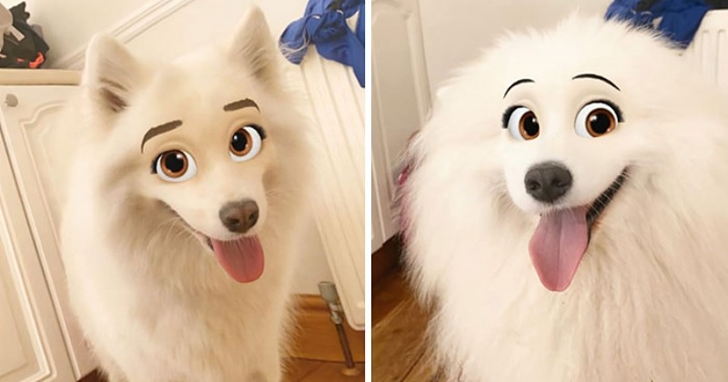 Snapchat sort un filtre qui transforme votre chien en personnage de Disney