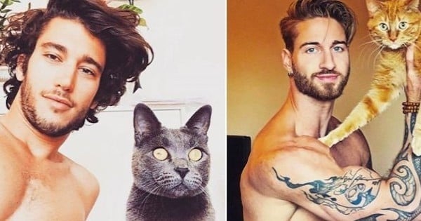 Des mecs sexy et des chatons : c'est le combo charme venant d'instagram qu'on vous propose, en 20 photos