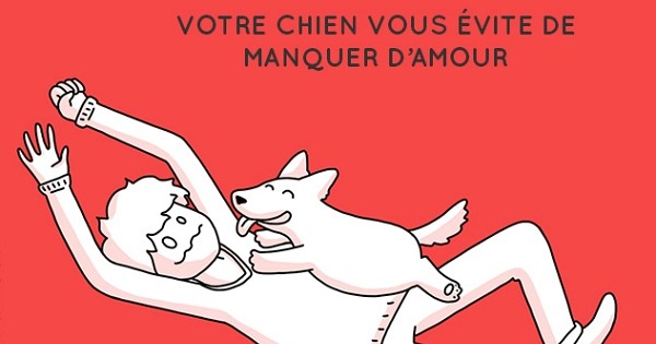 10 choses que votre chien vous a apprises, et qui font de vous un meilleur humain.