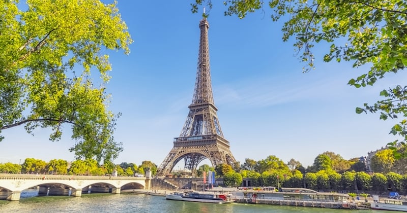 Paris : un homme épouse un arbre devant la Tour Eiffel pour protéger l'environnement