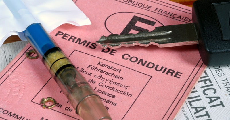 Le permis de conduire rose ne sera plus valable, vous avez jusqu'à cette date pour passer au nouveau