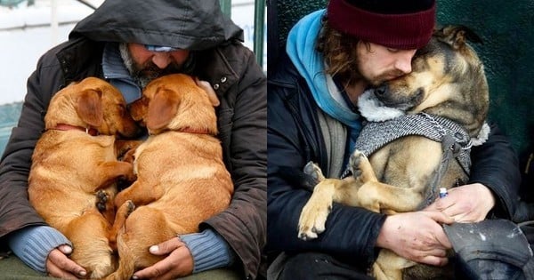 Quoi qu’il arrive, le chien sera toujours là pour son maître. La preuve, en 15 photos touchantes…