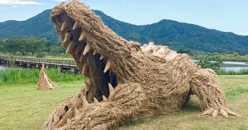 Au Japon, des animaux géants en paille envahissent les champs après la récolte du riz