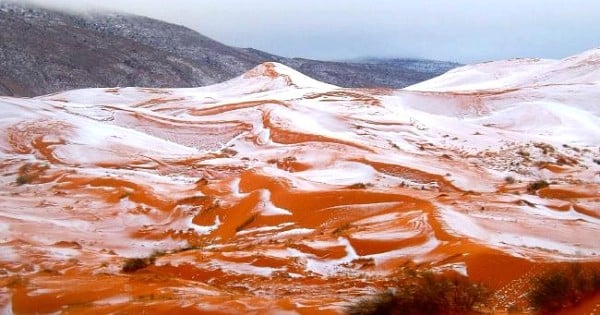 Pour la première fois depuis 37 ans, il a neigé dans le désert du Sahara. Et les photos sont surréalistes !