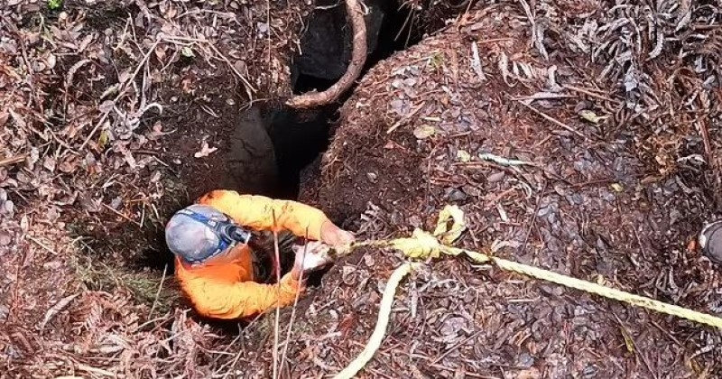 Hawaï : cette vidéo montre le sauvetage d'un chien par un homme qui est descendu en rappel dans un volcan actif