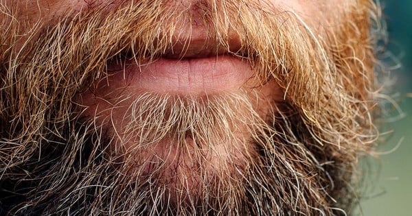 Si vous saviez ce qui se cache réellement dans les barbes, vous n'auriez plus envie d'approcher un barbu de votre vie !
