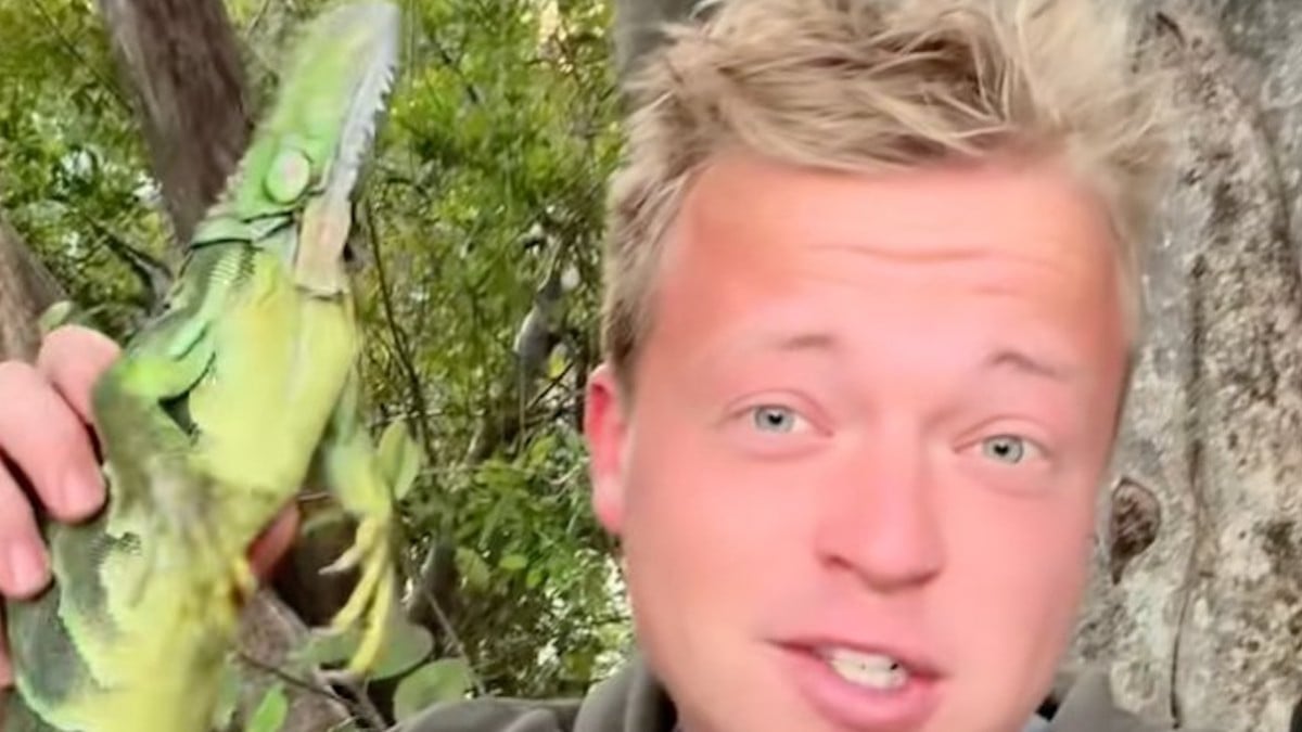 Capture d'écran Tiktok 