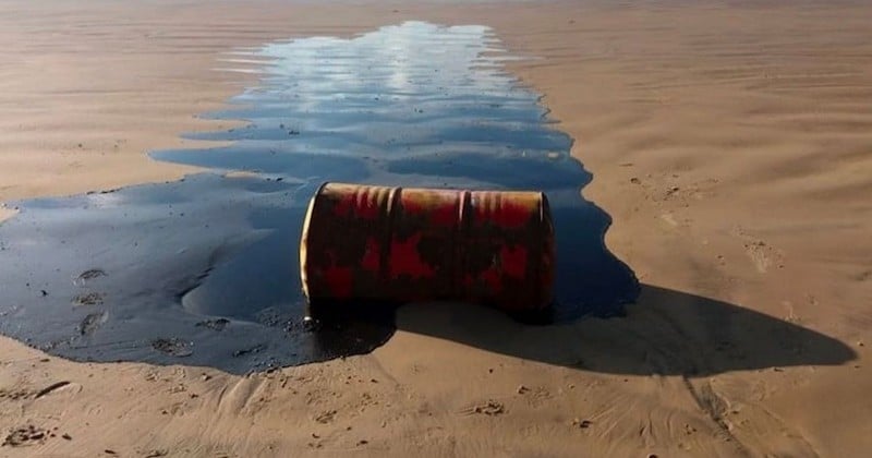 Depuis un mois, le Brésil est touché par une vague de pétrole mystérieuse qui ravage 2000km de plage