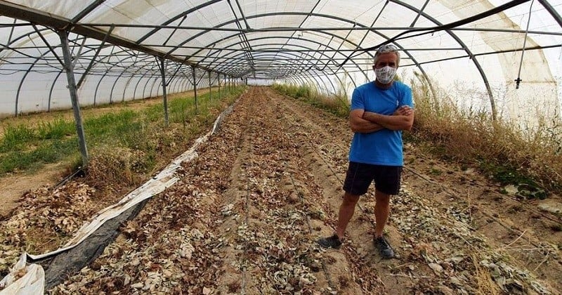 Dans les Bouches-du-Rhône, une exploitation bio a été saccagée avec du glyphosate par des agriculteurs voisins