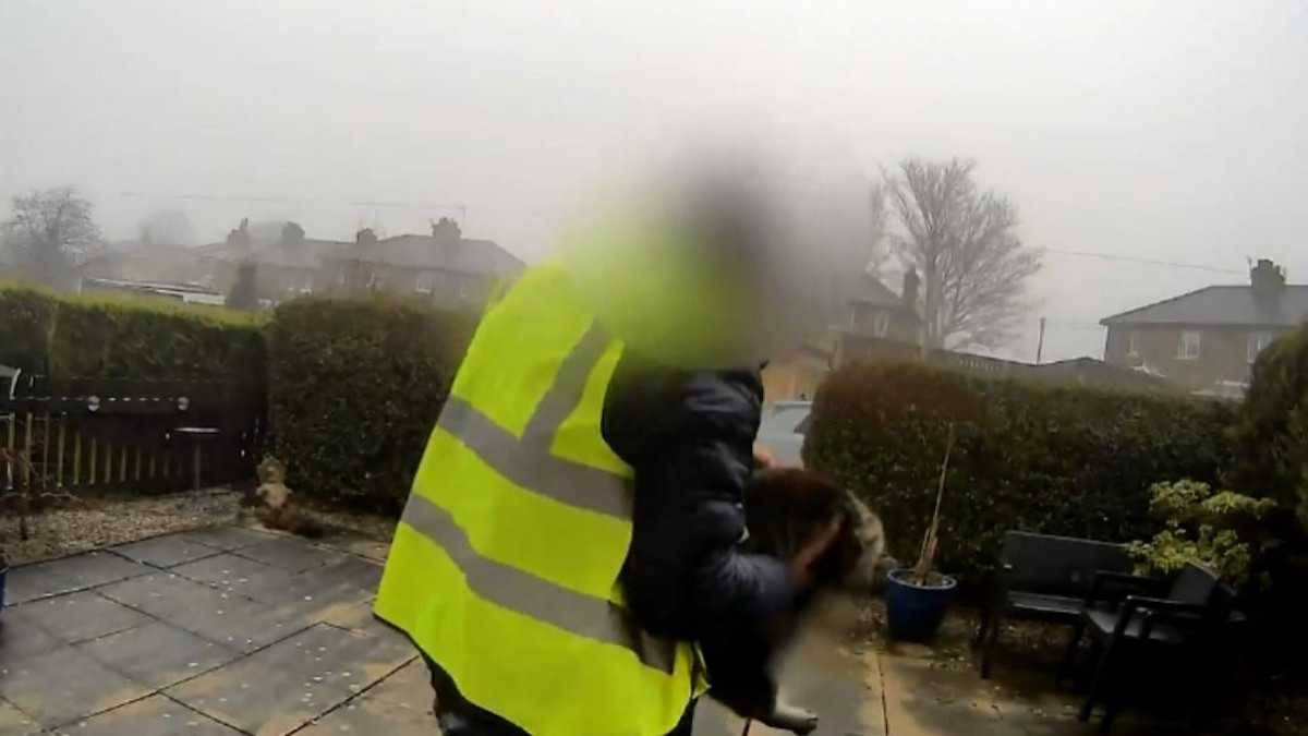 Un livreur Amazon vole le chat d'un client, la vidéo filmée par la caméra de sécurité indigne les internautes