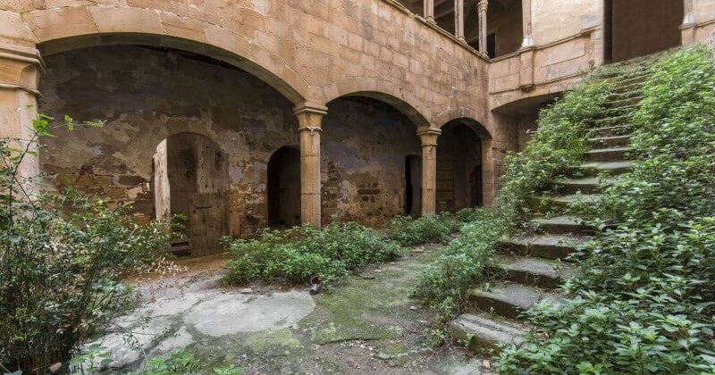 Abandonnés par l'Homme, ces lieux ont été récupérés par la nature dans des photographies saisissantes