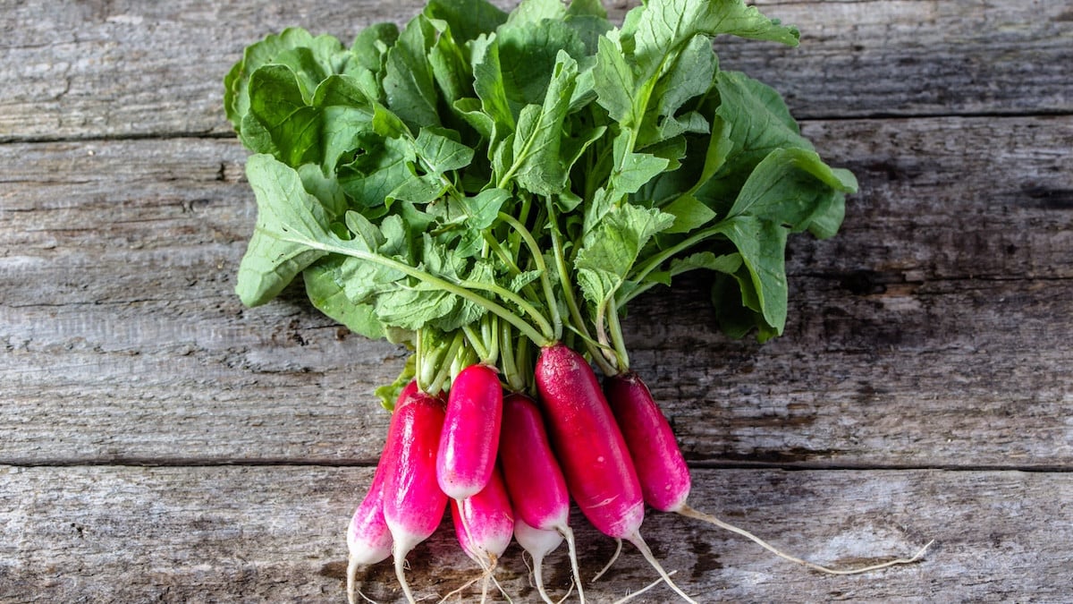 Fanes de radis, de carottes, de betteraves : 6 recettes anti-gaspi pour ne plus jamais les jeter