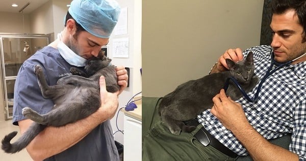 On a trouvé le vétérinaire le plus sexy du monde ! Vous ne rechignerez pas à y emmener votre animal de compagnie pour une consultation...