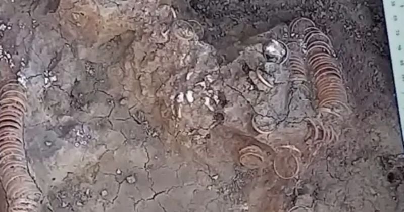 Roumanie : un incroyable trésor, vieux de 6 500 ans, découvert dans la tombe d'une femme « extrêmement riche »