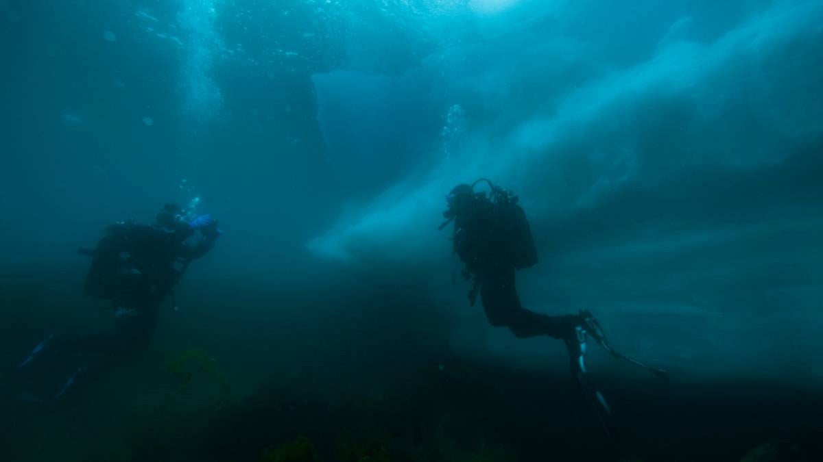 Explorateurs sous-marins
