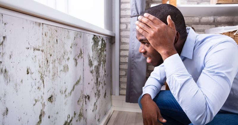 Humidité des murs : 6 solutions efficaces pour s'en débarrasser