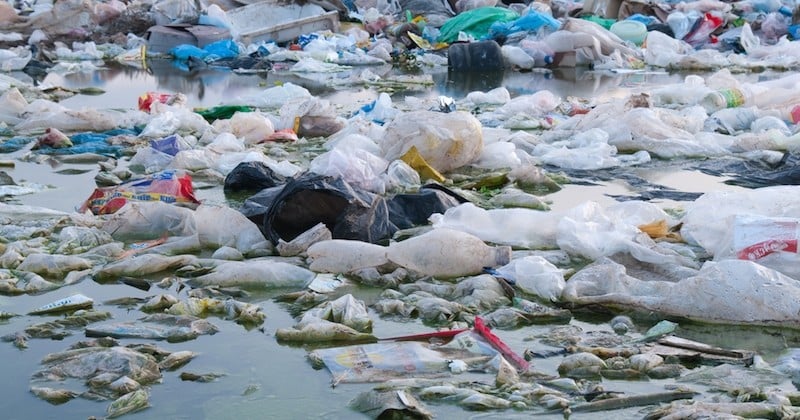 Nous avalons 5 grammes de plastique par semaine, selon un rapport WWF