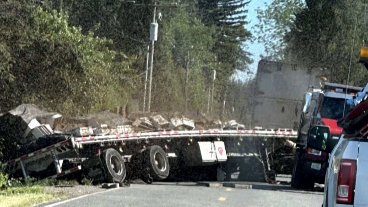 Un accident de camion libère 250 millions d'abeilles