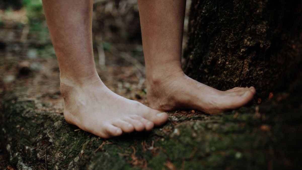 Portée disparue, une « enfant loup » retrouvée près d'une forêt où elle vivait isolée, comme une animale, depuis des années