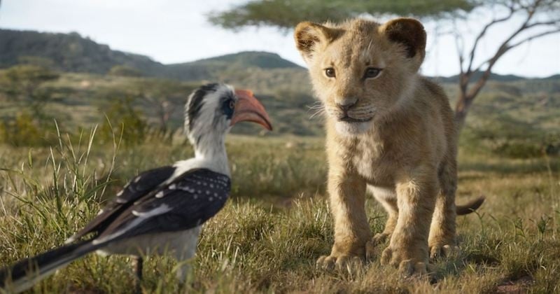 Disney : le remake du « Roi Lion » aura le droit à une suite