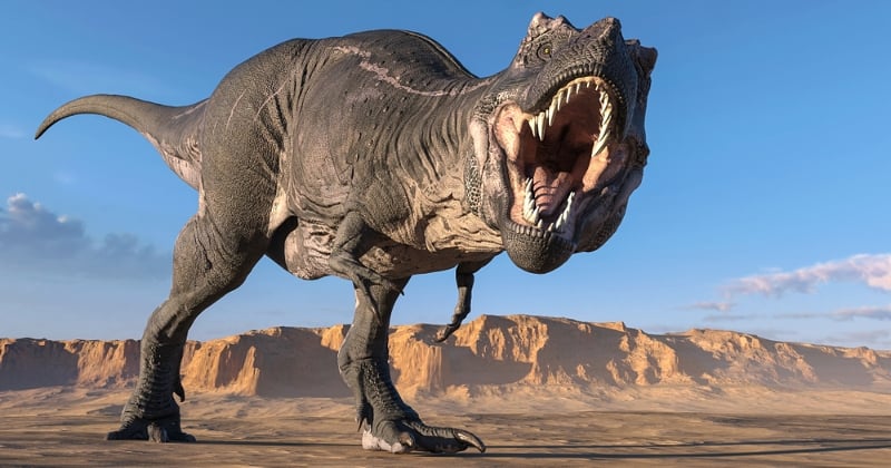 Une nouvelle étude scientifique affirme qu'au moins 2,5 milliards de T-Rex auraient vécu sur Terre