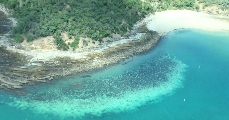 Le réchauffement climatique a provoqué le pire épisode de blanchissement qu'ait connu la Grande Barrière de corail