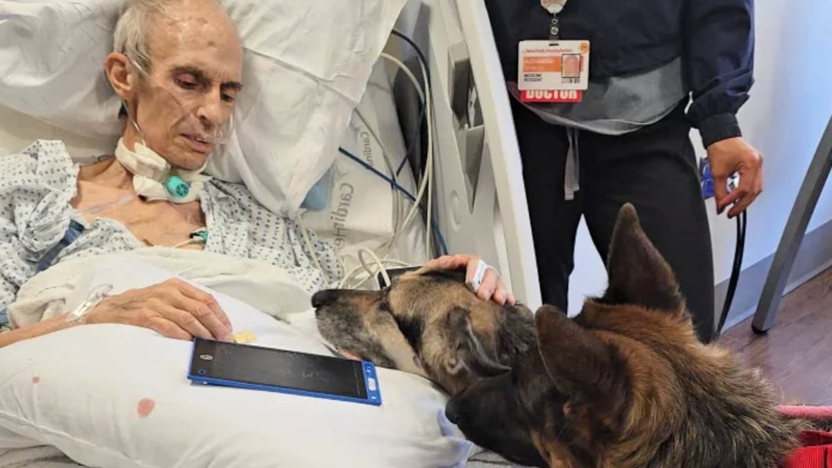 M. Spencer et ses deux chiens 