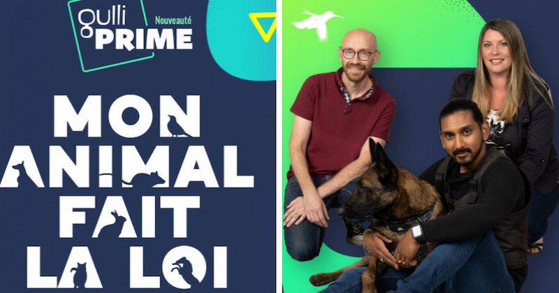  Mon animal fait la loi : Gulli lance un nouveau divertissement animalier