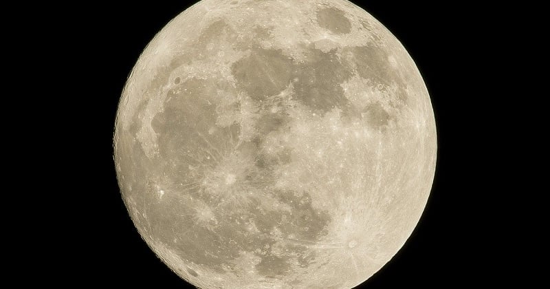 Des chercheurs ont fait pousser des plantes dans du sol lunaire prélevé il y a 50 ans