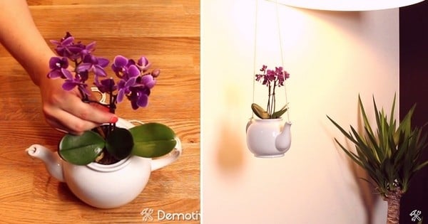Transformez une théière en un joli vase à fleurs suspendu
