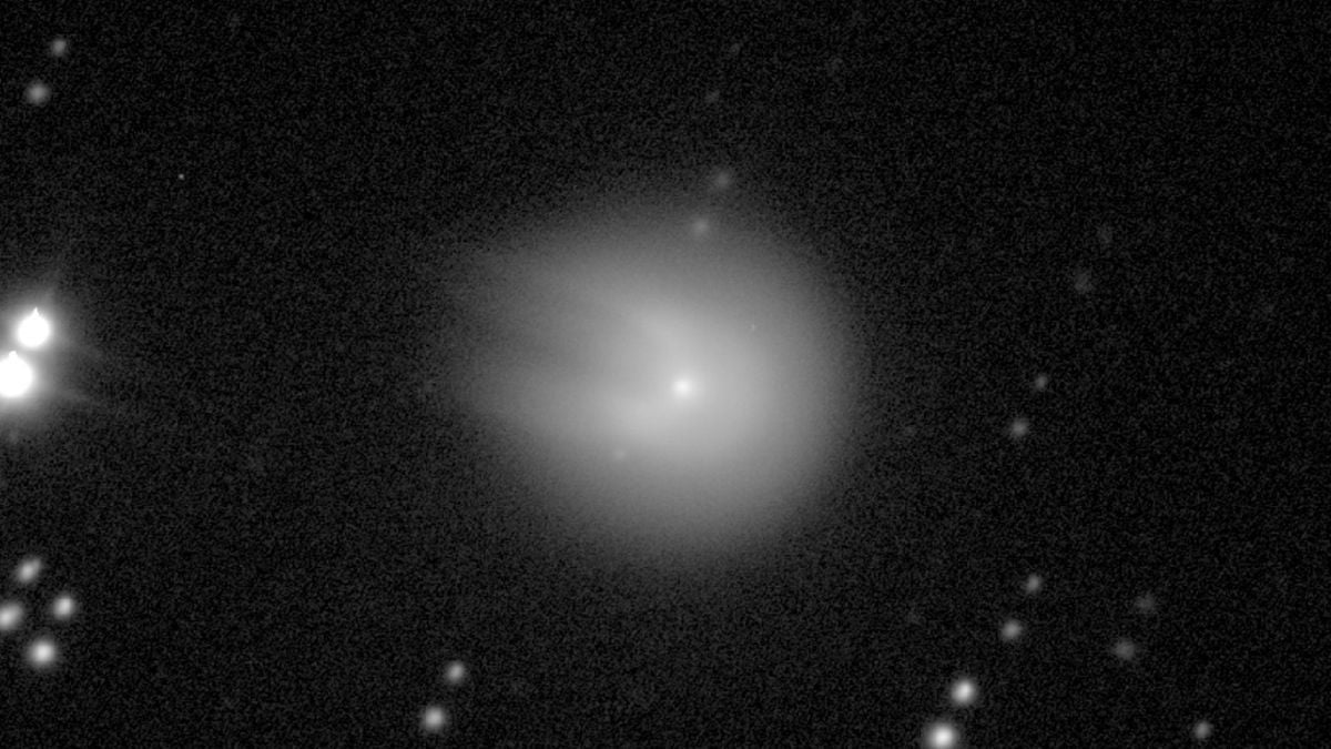 Cette comète gigantesque, à la forme du Faucon Millenium, bientôt visible à l'oeil nu