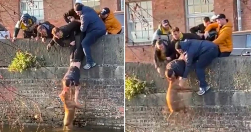 Cette vidéo du sauvetage d'un chien tombé dans un canal par un groupe de jeunes a fait le tour du web