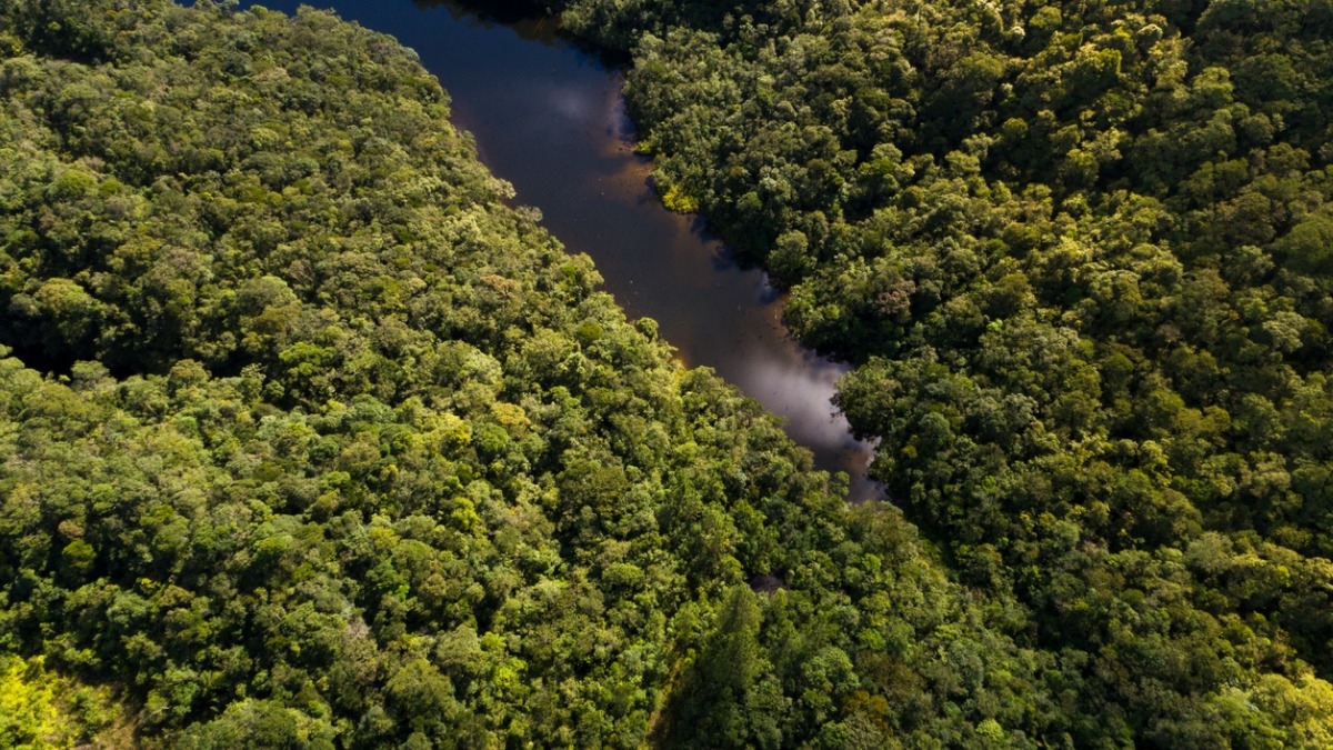 Voici la rivière la plus sombre du monde et les scientifiques ont découvert pourquoi ses eaux ont cette couleur