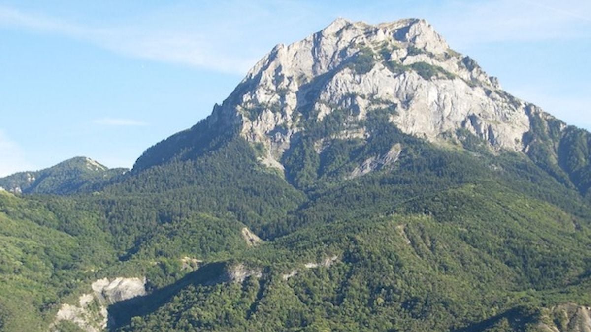 « Ils se sont acharnés sur lui » : un randonneur sauvagement attaqué par 4 patous enragés 