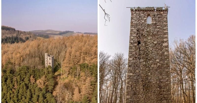 Une Écossaise vend une tour au style Raiponce située en pleine forêt sans eau ni électricité pour 91 000 €