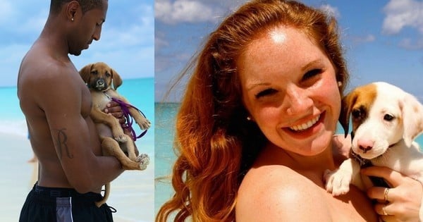 Une plage de sable fin, une mer turquoise et des chiots à câliner partout : le paradis ! Rendez-vous sur les îles Turques-et- Caïques
