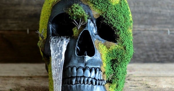 Ces crânes-bonsaï sont à la fois fascinants et morbides...