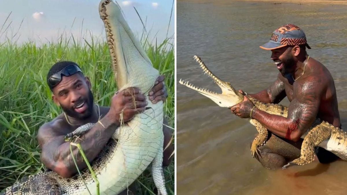 Cet influenceur se bat avec des crocodiles à mains nues, ses vidéos font scandale en Australie