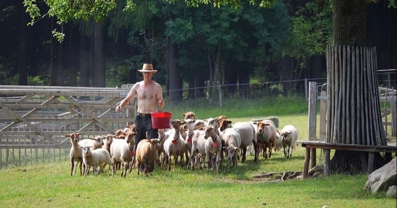 Cette ferme belge est un havre de paix où hommes et nature vivent en harmonie